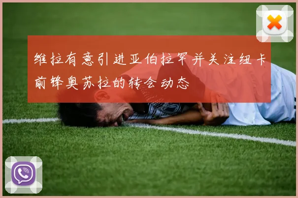 维拉有意引进亚伯拉罕并关注纽卡前锋奥苏拉的转会动态